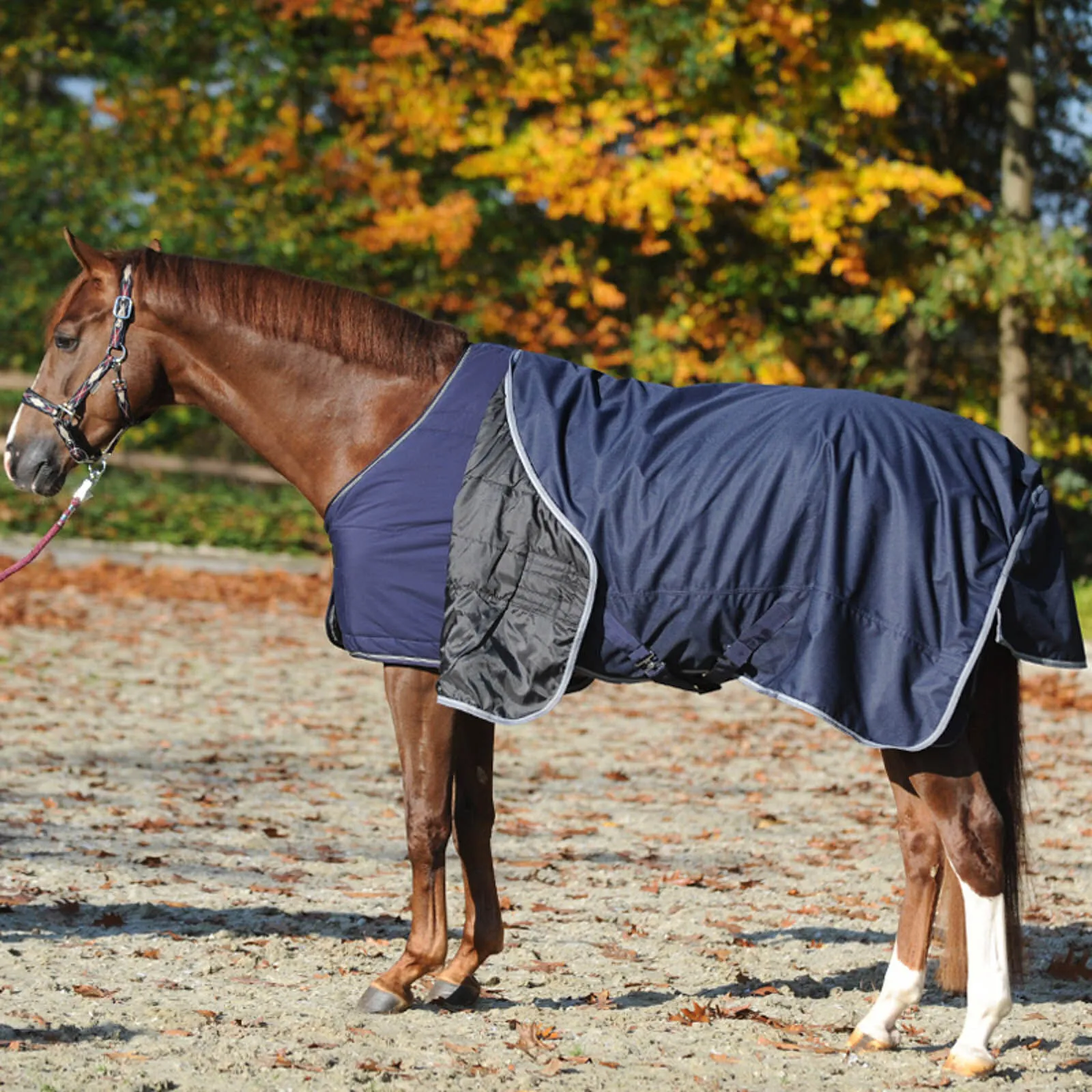 150g light turnout rug